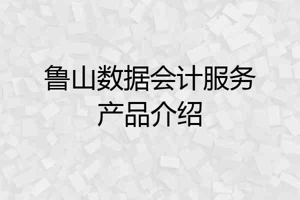 鲁山数据会计服务产品介绍