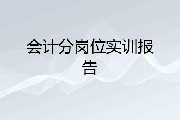 会计分岗位实训报告