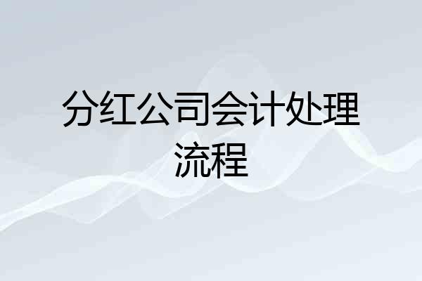 分红公司会计处理流程