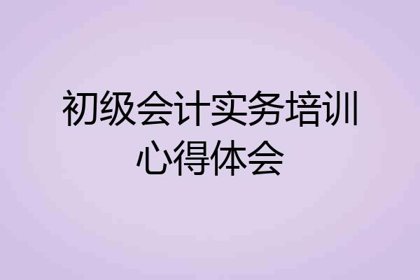 初级会计实务培训心得体会