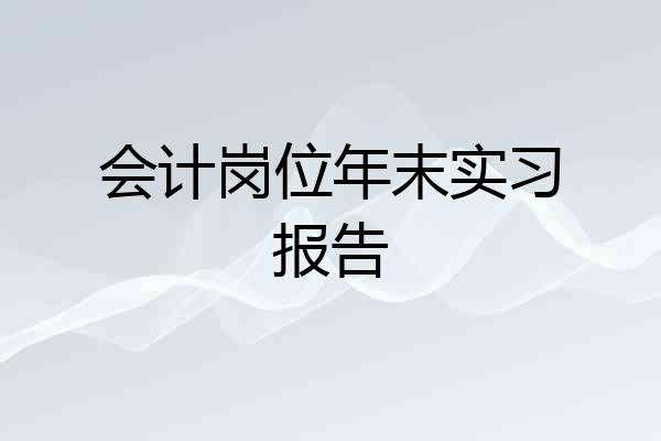 会计岗位年末实习报告