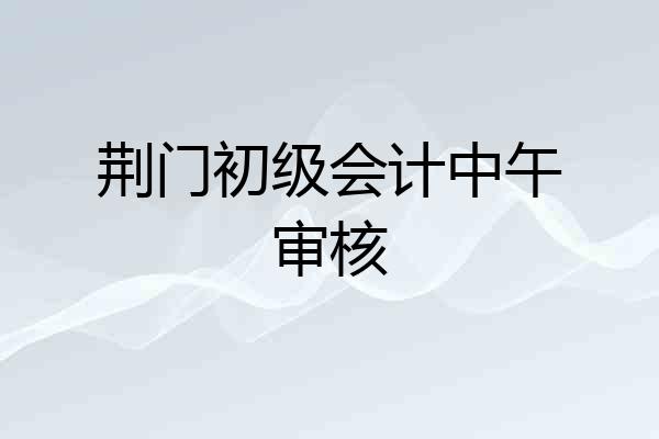 荆门初级会计中午审核