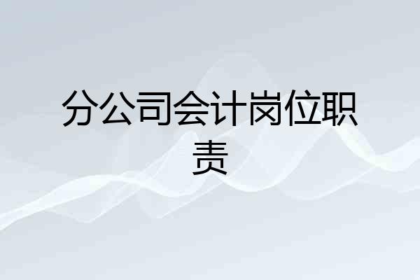分公司会计岗位职责