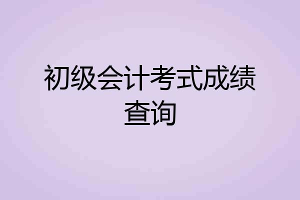 初级会计考式成绩查询