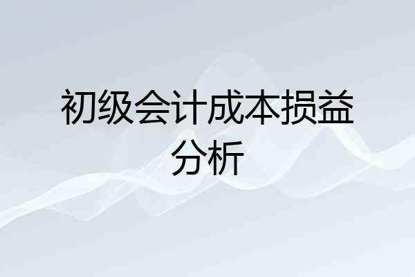 初级会计成本损益分析