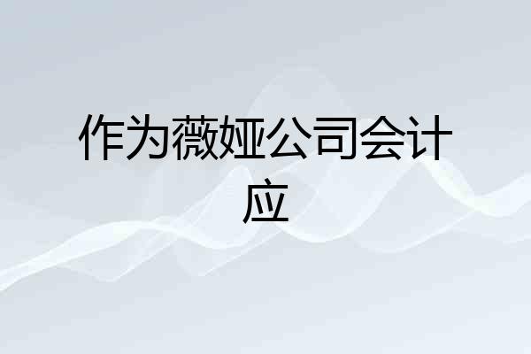 作为薇娅公司会计应
