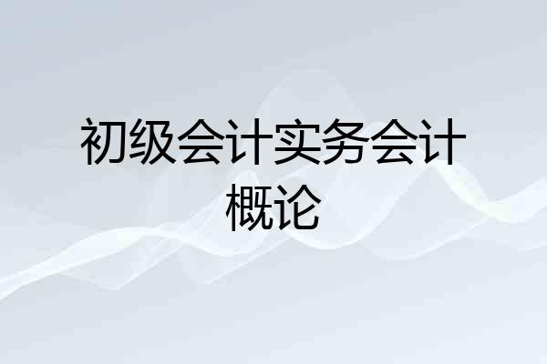初级会计实务会计概论