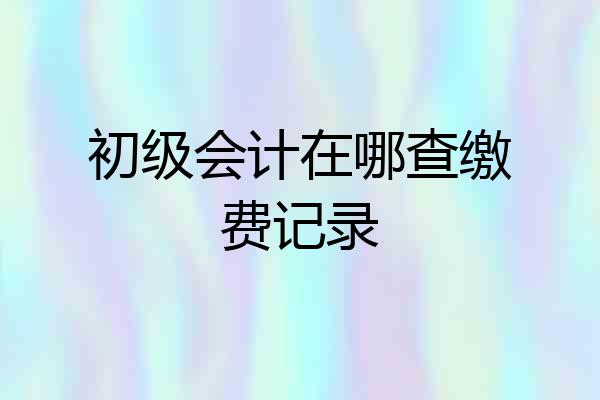 初级会计在哪查缴费记录