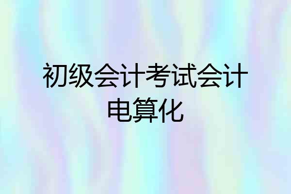 初级会计考试会计电算化