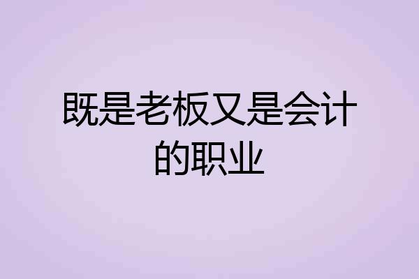 既是老板又是会计的职业