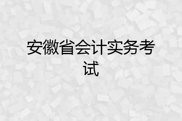 安徽省会计实务考试