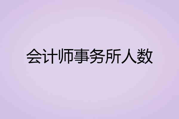会计师事务所人数