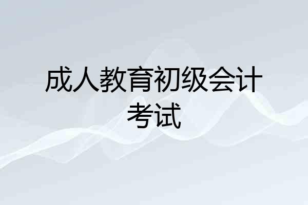 成人教育初级会计考试