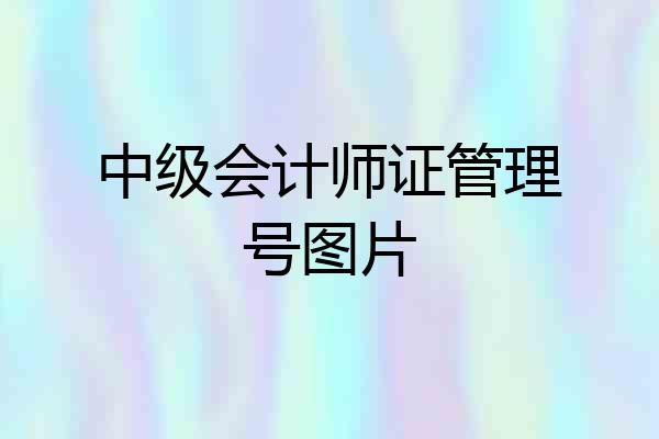 中级会计师证管理号图片