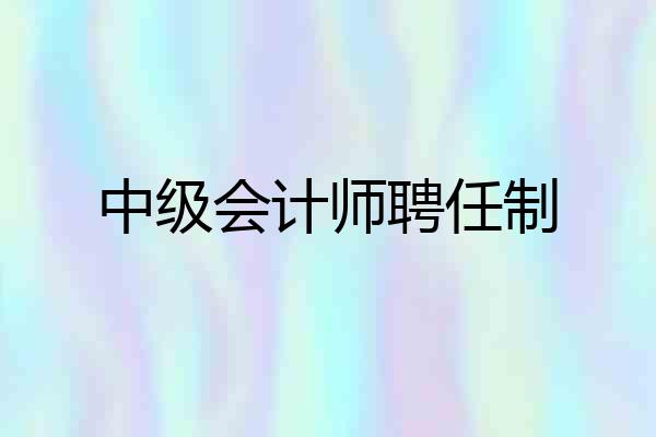 中级会计师聘任制