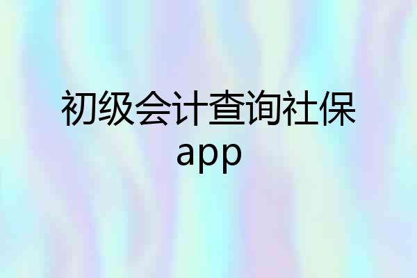 初级会计查询社保app