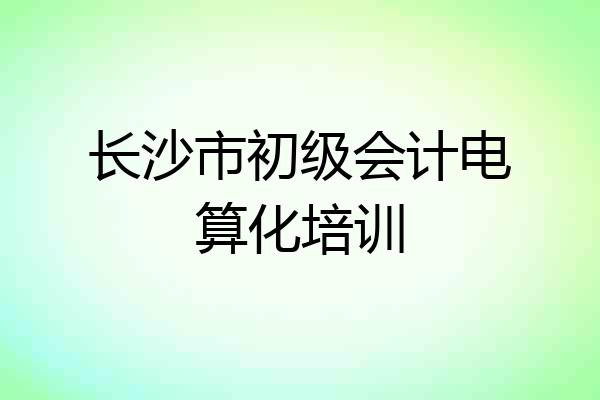 长沙市初级会计电算化培训