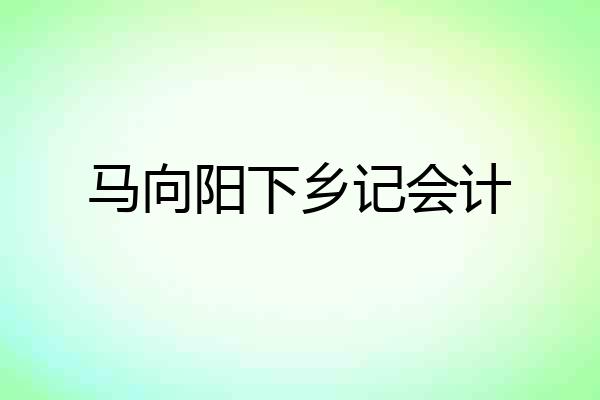 马向阳下乡记会计