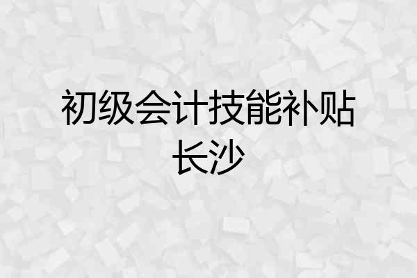 初级会计技能补贴长沙