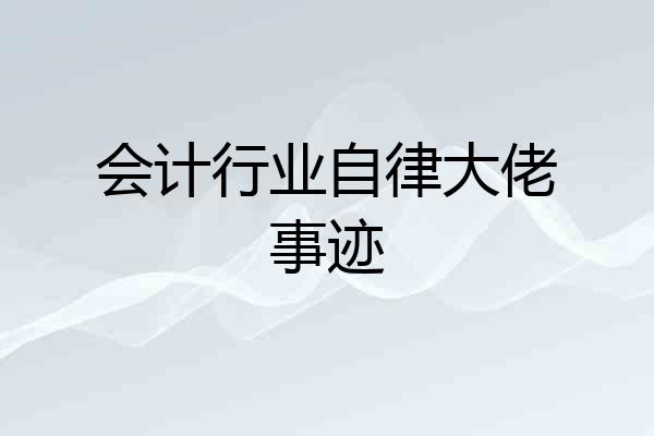 会计行业自律大佬事迹