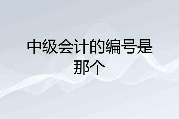 中级会计的编号是那个