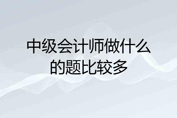 中级会计师做什么的题比较多