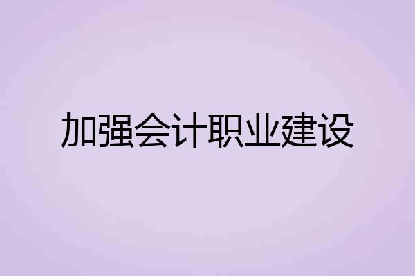 加强会计职业建设