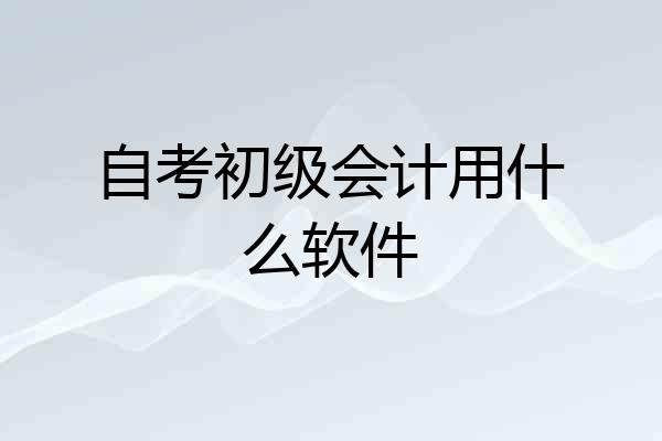 自考初级会计用什么软件