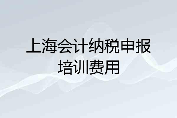 上海会计纳税申报培训费用