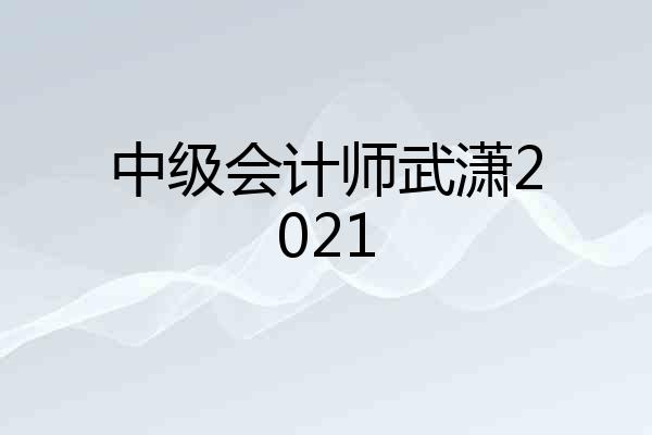 中级会计师武潇2021