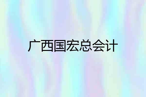 广西国宏总会计