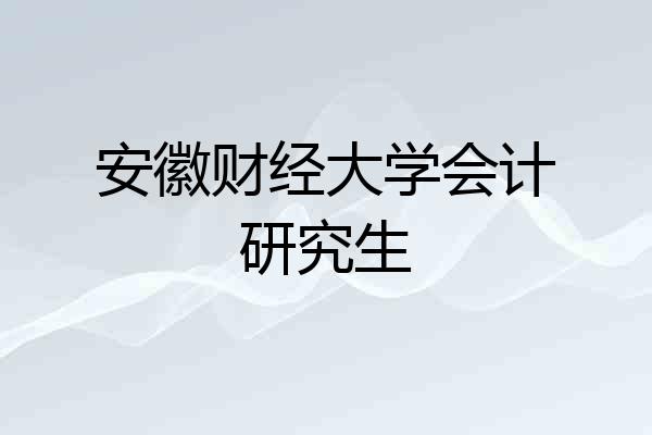 安徽财经大学会计研究生