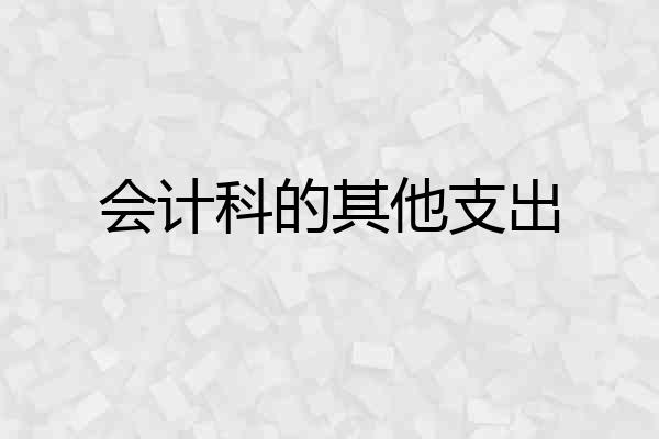 会计科的其他支出