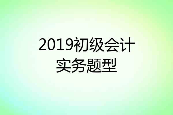 2019初级会计实务题型
