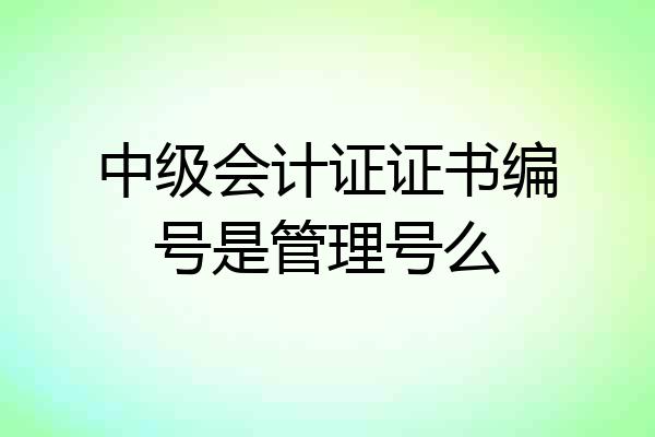 中级会计证证书编号是管理号么