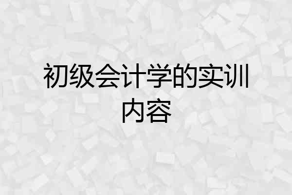 初级会计学的实训内容