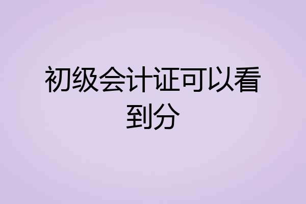 初级会计证可以看到分