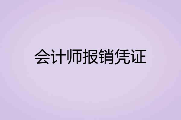会计师报销凭证
