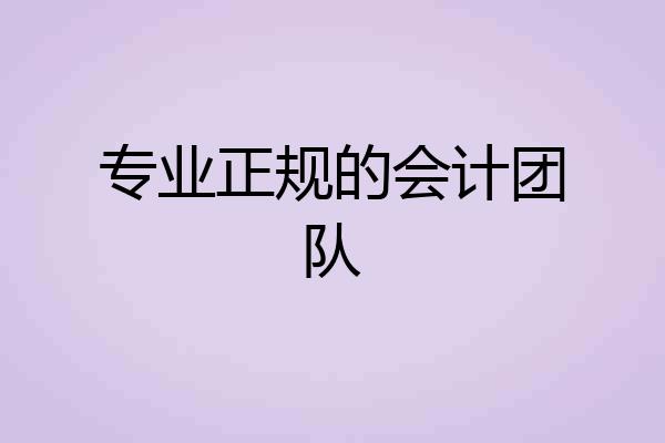 专业正规的会计团队