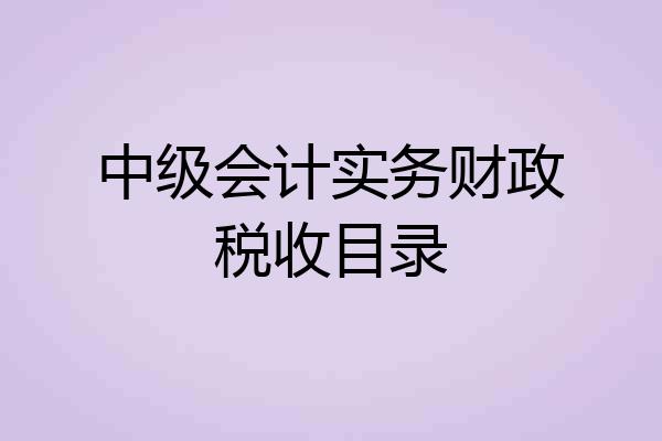 中级会计实务财政税收目录