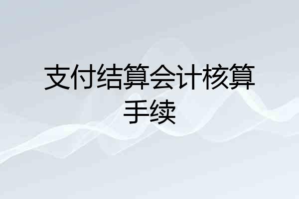 支付结算会计核算手续