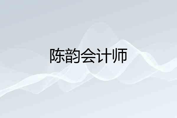 陈韵会计师