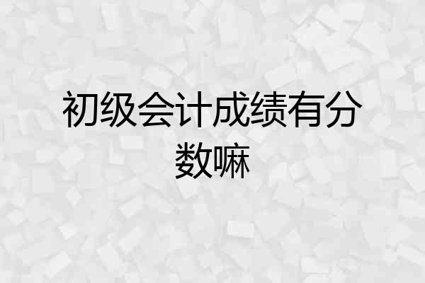 初级会计成绩有分数嘛