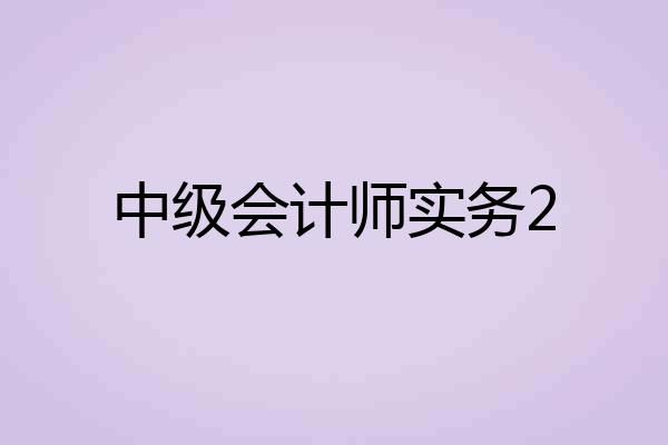 中级会计师实务2