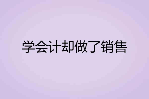 学会计却做了销售
