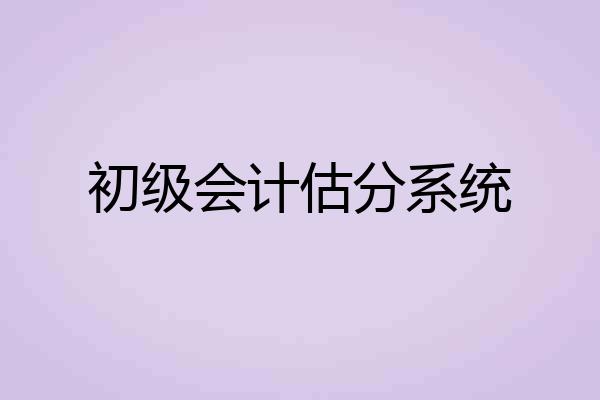 初级会计估分系统