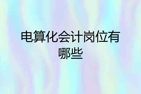 电算化会计岗位有哪些