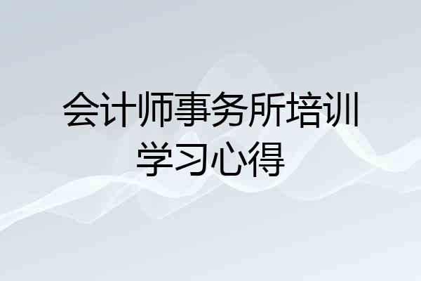 会计师事务所培训学习心得