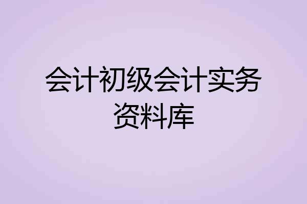 会计初级会计实务资料库