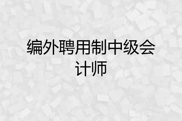 编外聘用制中级会计师